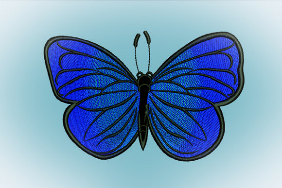 Butterfly Gradation Embroidery Review