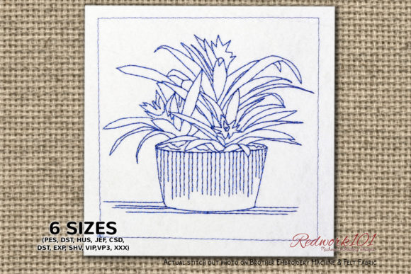 Leo Plants: A Seller's Review for Small Shop Collections